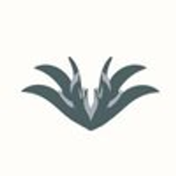 Valor Injury Law logo