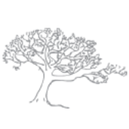 Silver Maple logo