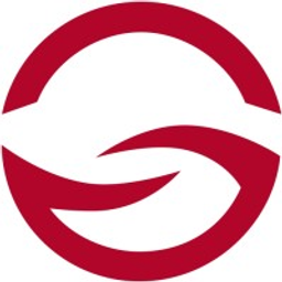 DigiFlight logo