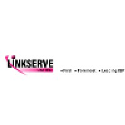 Linkserve Solutions BPO Inc. logo