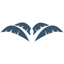 PALM Health logo
