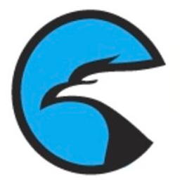 CITADEL FEDERAL SOLUTIONS LLC logo