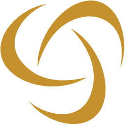Capital International Group logo