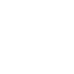 AllevioCare logo