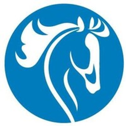 The Cavalry Cleaning Company logo