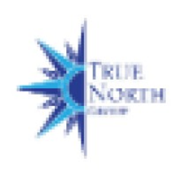 True North Group LLC. logo