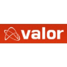 Valor Force logo