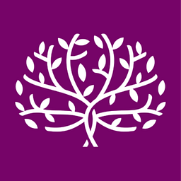Boston Brain Center logo