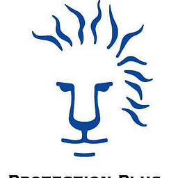 A Plus Protection Security Services logo