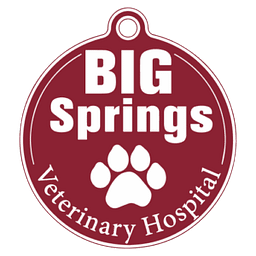 Big Springs Veterinary Hospital logo
