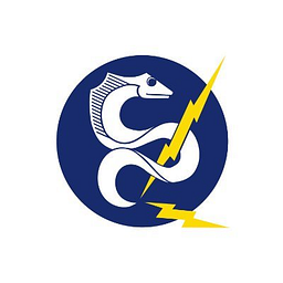 DeepSea logo