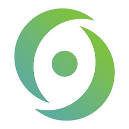 Cyber Synergy Consulting Group logo
