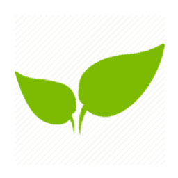 Stein's logo