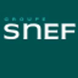 Snef logo