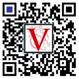 Vanguard Medical Group logo