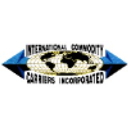 CEI logo