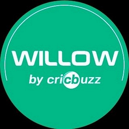 Work with Willow logo