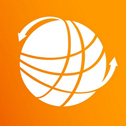 Development Dimensions International Inc logo