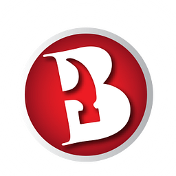 Bachman's Roofing logo
