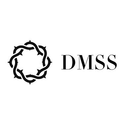 Divine Medical Staffing Services LLC logo