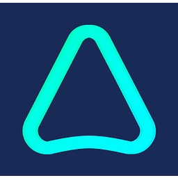 Anyone AI logo