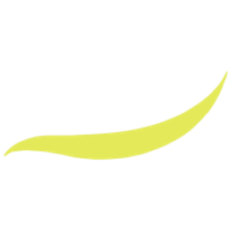 Vianen Flowers logo