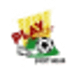 Let's Play Soccer logo