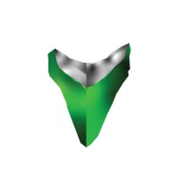 DMSi logo