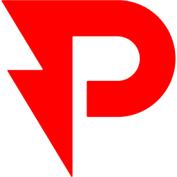 Panelmatic logo