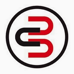 Breinstein logo