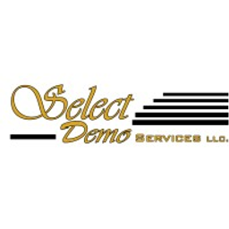 Demo S.A. logo