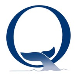 Naniq Global Logistics logo