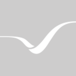 COPA logo
