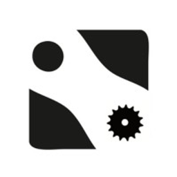 PEER Chain & Sprockets logo