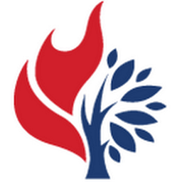 Phsorg logo
