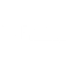 Pace Media logo