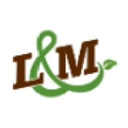 LMVagas logo