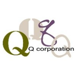Q-Edge Corporation logo