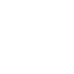 SkandiaMäklarna logo