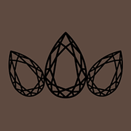 Platinum Point Capital logo