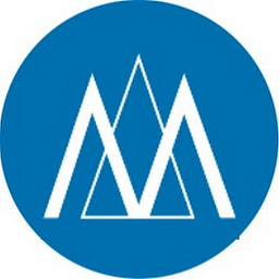 Management and Organization Support logo