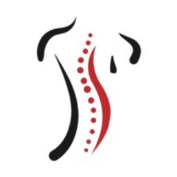 Artisan Chiropractic Clinic Llc logo