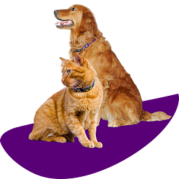 Country View Veterinary Hospital logo