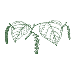 Pennant logo