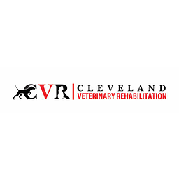 VOCATIONAL GUIDANCE SERVICES logo
