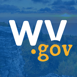 WV Birth to Three logo