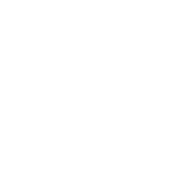 Worldwide TechServices logo