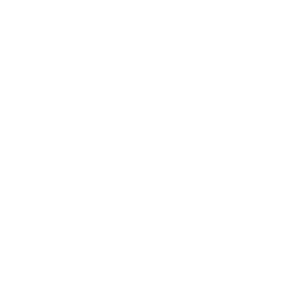 AlphaLogic Inc. logo