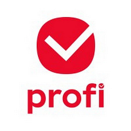 der profi personalmanagement ag logo