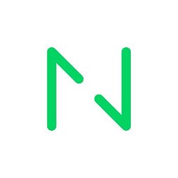 Netguru logo